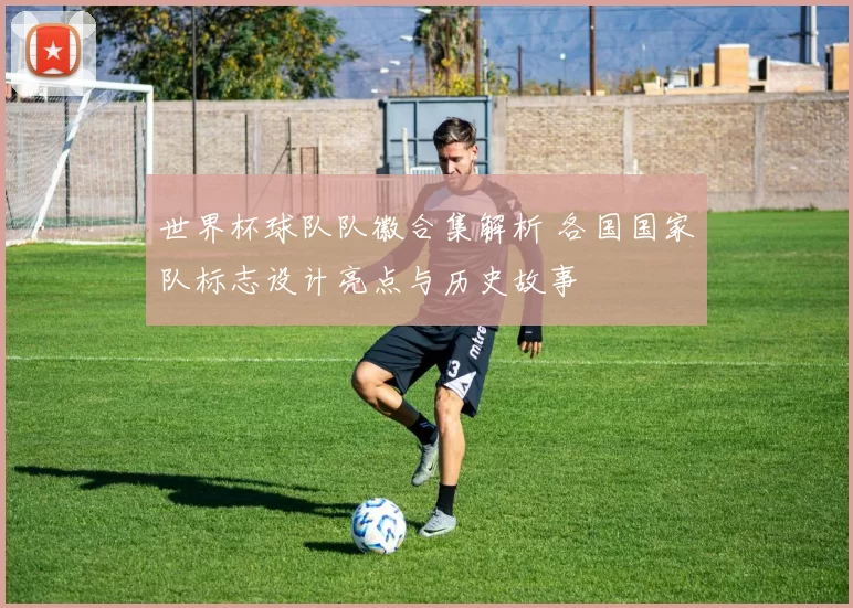 世界杯球队队徽合集解析 各国国家队标志设计亮点与历史故事