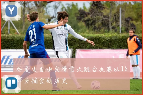 谷爱凌自由式滑雪大跳台决赛以1825分摘金创历史