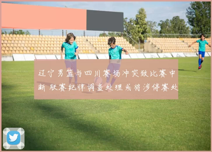 辽宁男篮与四川赛场冲突致比赛中断 联赛纪律调查处理或将涉停赛处罚